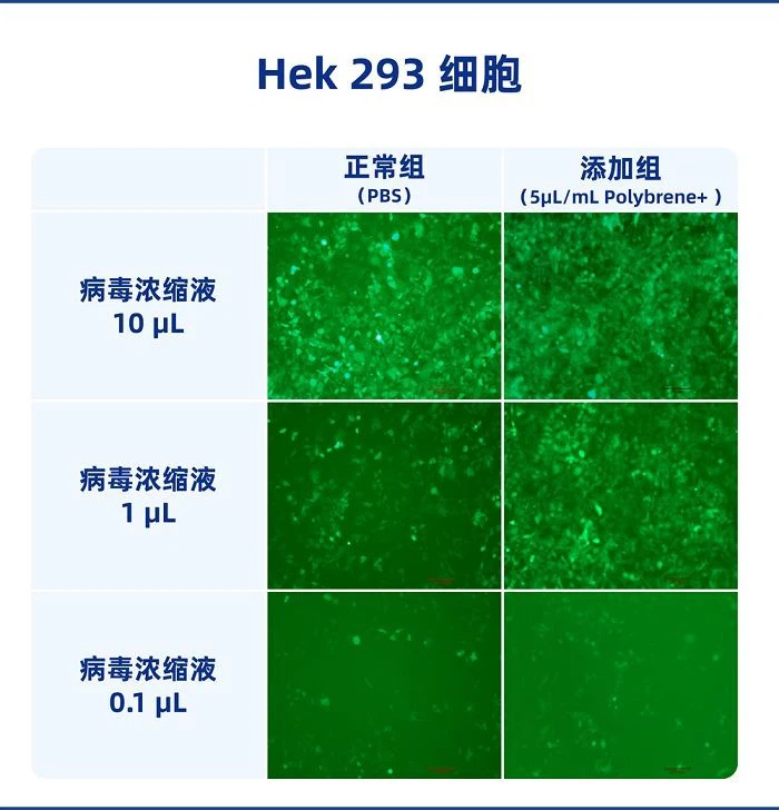 1645173054164436288(001)