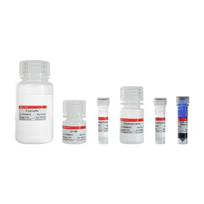 ชุดกระตุ้นภูมิคุ้มกัน (โปรตีน จี อะกาโรส)